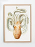 raw wood framed velodona octopus illustration print wall art
